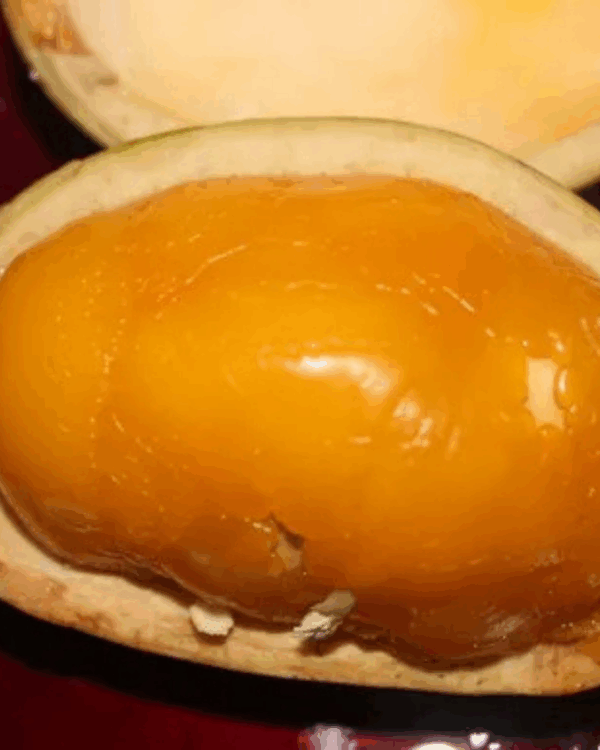Pacová de Macaco