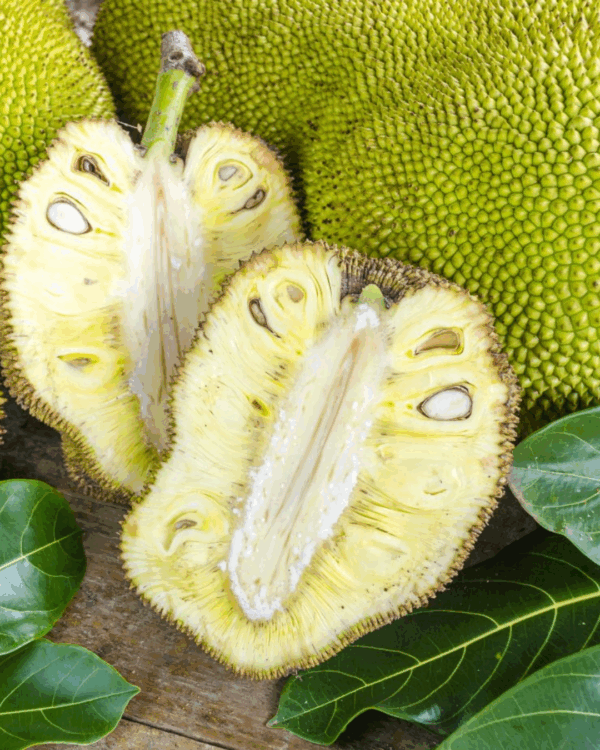 Fruta Pão